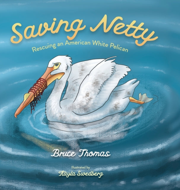 Saving Netty: Rescuing an American White Pelican