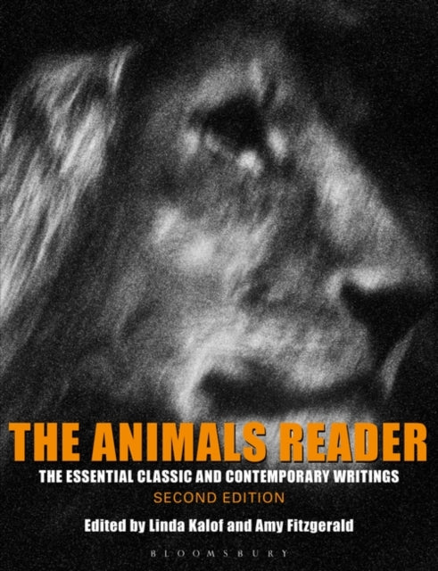 Animals Reader: The Essential Classic and Contemporary Writings