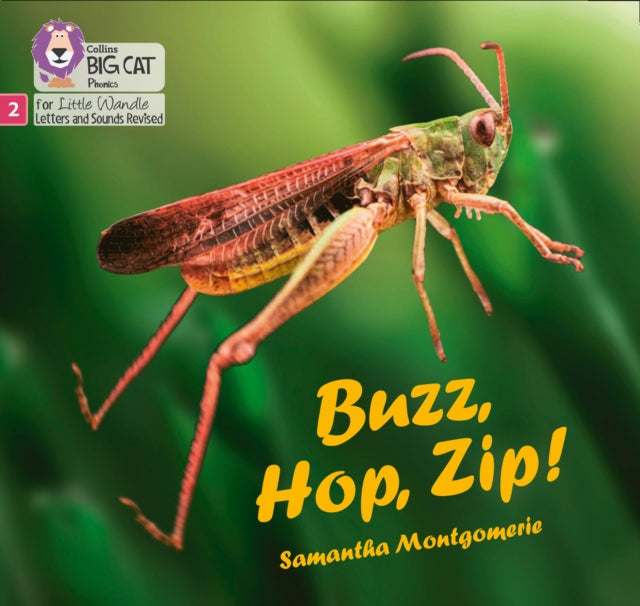 Buzz, Hop, Zip!: Phase 2