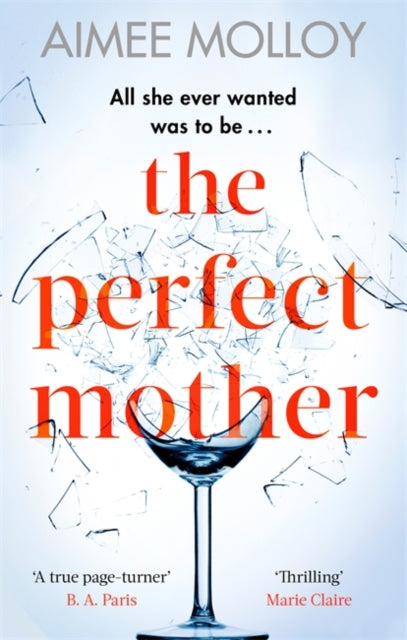 Perfect Mother: A gripping thriller with a nail-biting twist