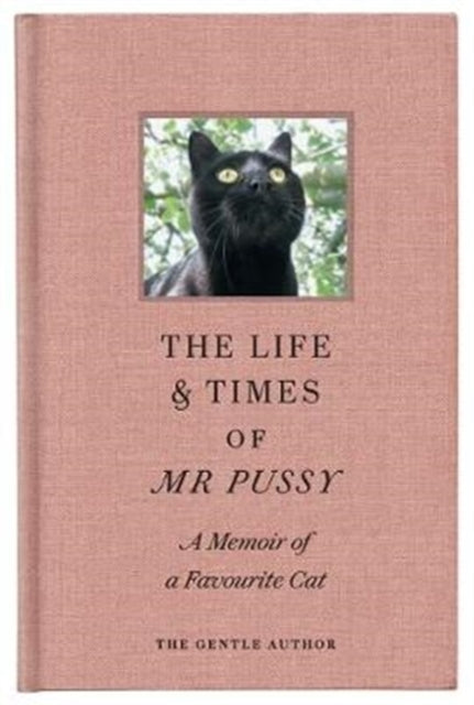 Life & Times Of Mr Pussy: A memoir of a favourite cat
