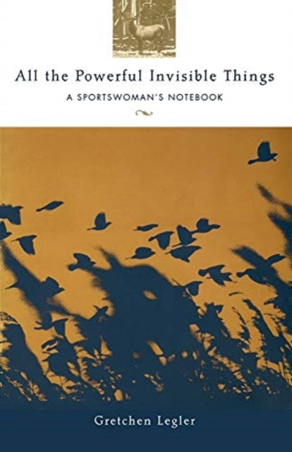 All the Powerful Invisible Things: A Sportswomen's Notebook