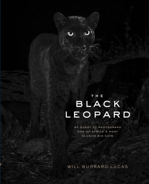 Black Leopard: My Quest to Photograph One of Africa's Most Elusive Big Cats