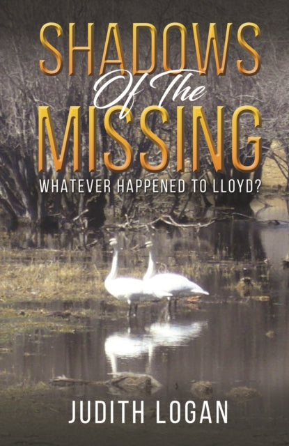 Shadows of the Missing: Whatever Happened To Lloyd?