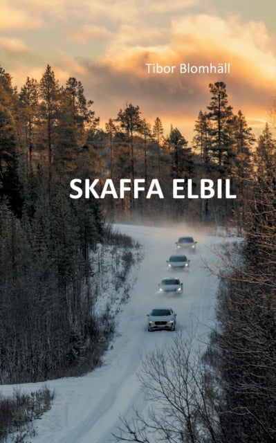 Skaffa elbil