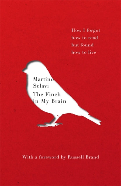 Finch in My Brain: How I forgot how to read but found how to live