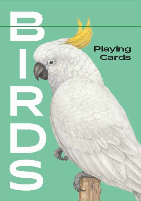 Birds: Playing Cards