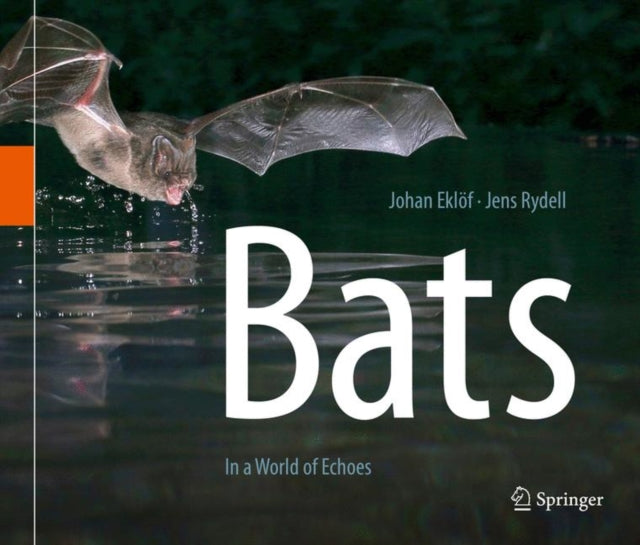 Bats: In a World of Echoes