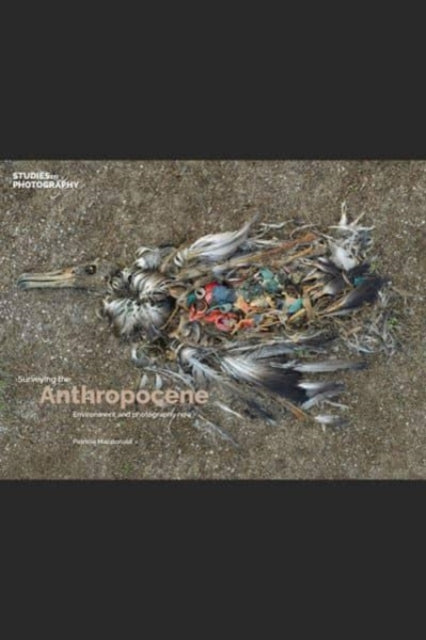 Surveying the Anthropocene:: Environment and photography Now