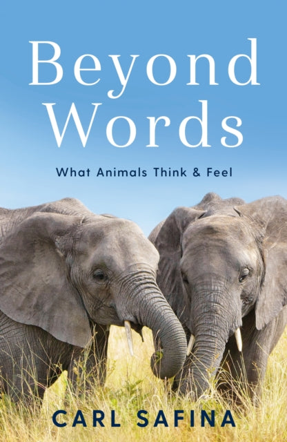 Beyond Words: What Animals Think and Feel