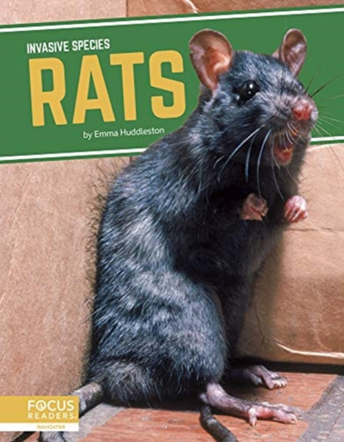 Invasive Species: Rats