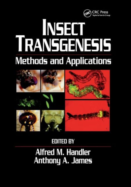 Insect Transgenesis: Methods and Applications