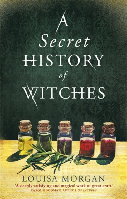 Secret History of Witches: The spellbinding historical saga of love and magic