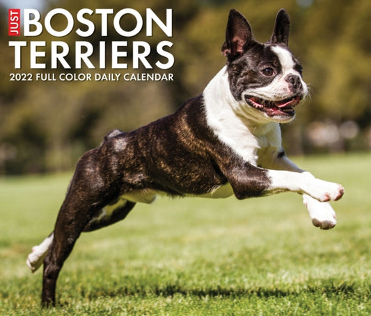 Boston Terriers 2022 Box Calendar - Dog Breed Daily Desktop