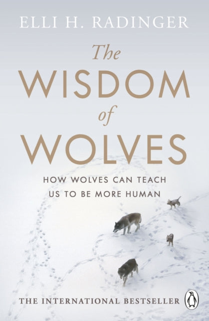 Wisdom of Wolves: How Wolves Can Teach Us To Be More Human