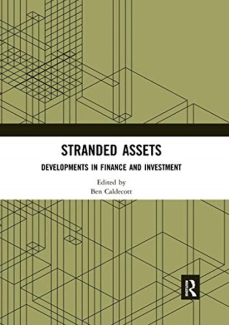 Stranded Assets: Developments in Finance and Investment