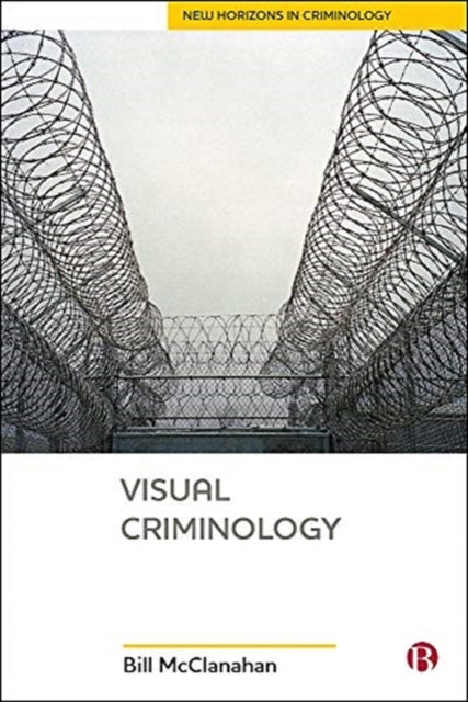 Visual Criminology