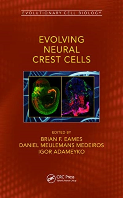 Evolving Neural Crest Cells