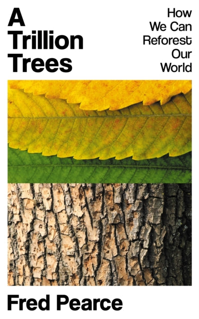 Trillion Trees: How We Can Reforest Our World