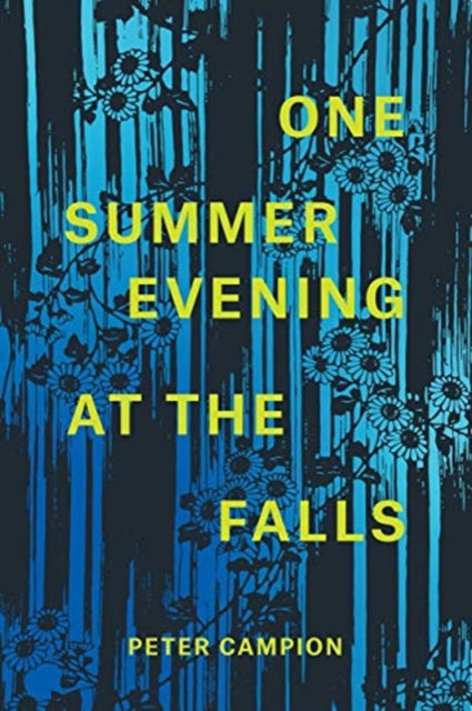 One Summer Evening at the Falls