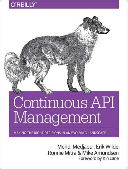 Continuous API Management: Make the Right Decisions in an Evolving Landscape