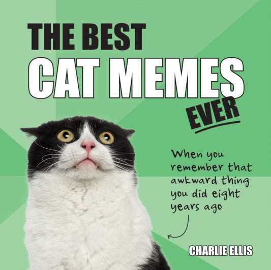Best Cat Memes Ever: The Funniest Relatable Memes as Told by Cats