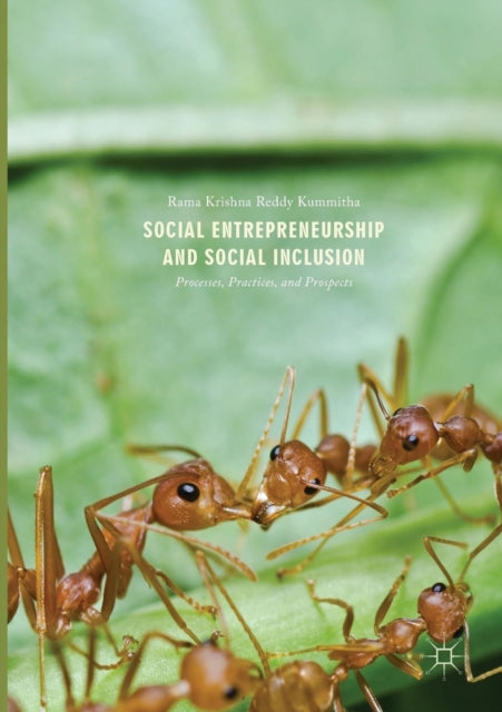 Social Entrepreneurship and Social Inclusion: Processes, Practices, and Prospects