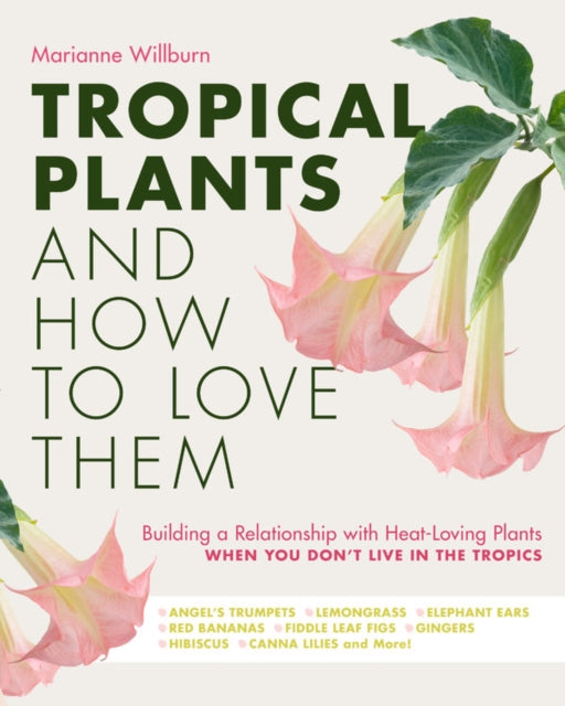 Tropical Plants and How to Love Them: Building a Relationship with Heat-Loving Plants When You Don't Live In The Tropics - Angel's Trumpets - Lemongrass - Elephant Ears - Red Bananas - Fiddle Leaf Figs - Gingers - Hibiscus - Canna Lilies and More!