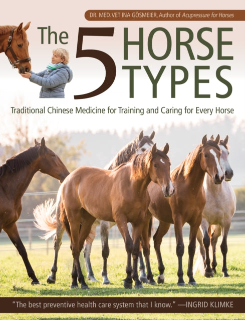 5 Horse Types: Traditional Chinese Medicine for Training and Caring for Every Horse