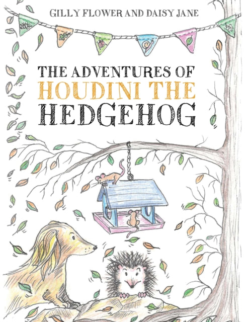 Adventures of Houdini the Hedgehog