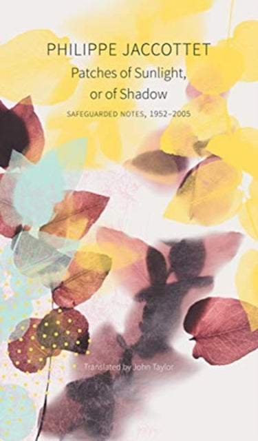 Patches of Sunlight, Or of Shadow: Safeguarded Notes, 1952-2005