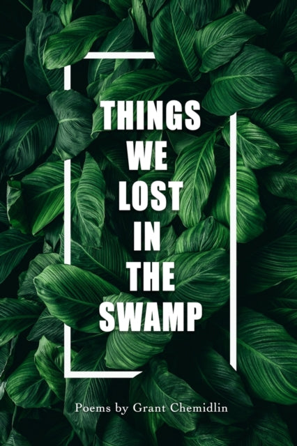 Things We Lost In The Swamp