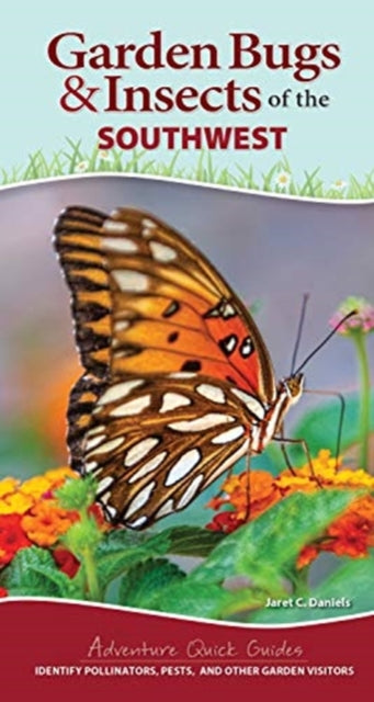 Garden Bugs & Insects of the Southwest: Identify Pollinators, Pests, and Other Garden Visitors