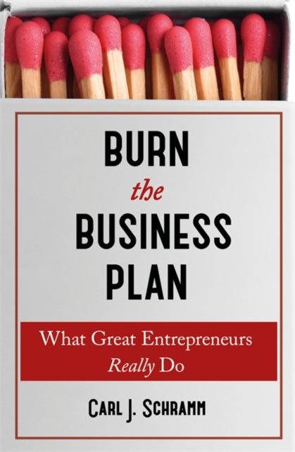 Burn The Business Plan: What Great Entrepreneurs Really Do