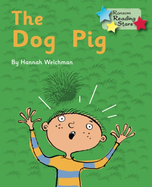 Dog Pig: Phonics Phase 2