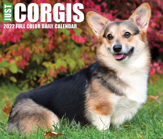 Corgis 2022 Box Calendar - Dog Breed Daily Desktop