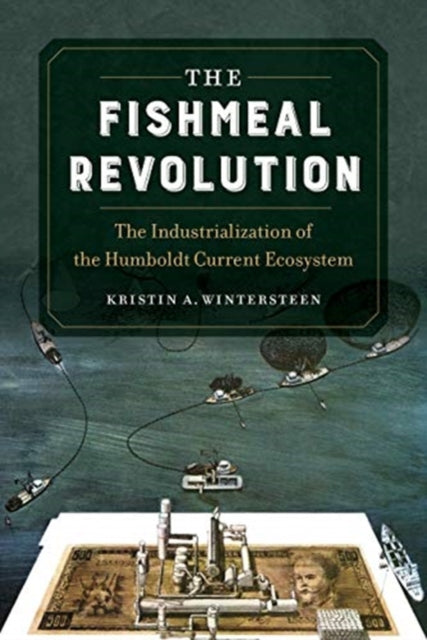 Fishmeal Revolution: The Industrialization of the Humboldt Current Ecosystem