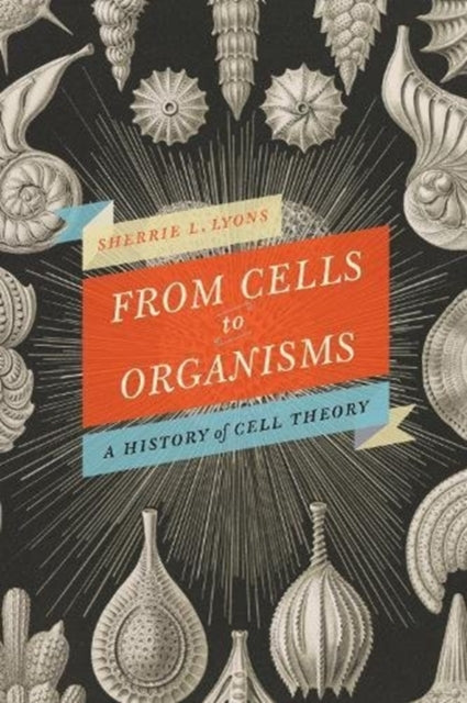 From Cells to Organisms: Re-envisioning Cell Theory