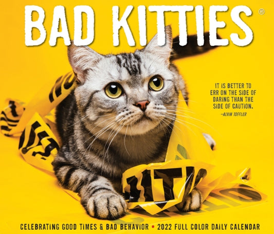 Bad Kitties 2022 Box Calendar - Cats and Kittens Daily Desktop