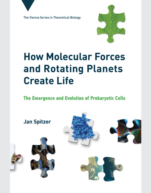 How Molecular Forces and Rotating Planets Create Life: The Emergence and Evolution of Prokaryotic Cells