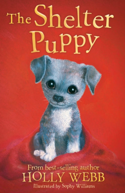 Shelter Puppy