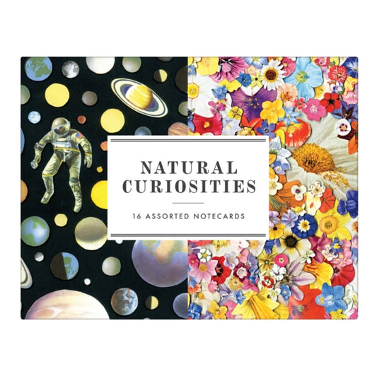 Natural Curiosities Greeting Assortment Notecards