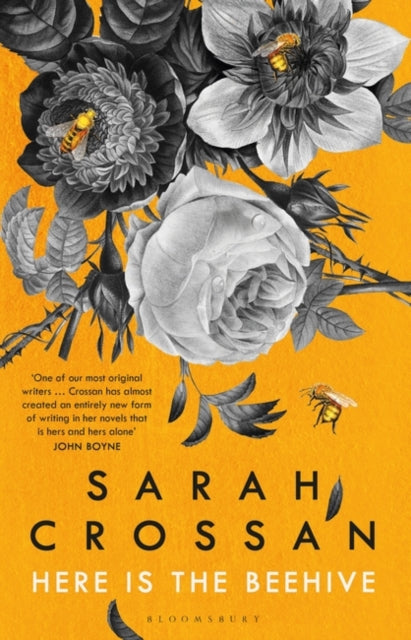 Here is the Beehive: Shortlisted for Popular Fiction Book of the Year in the AN Post Irish Book Awards
