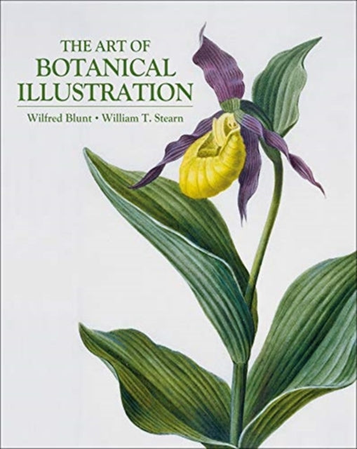 Art of Botanical Illustration