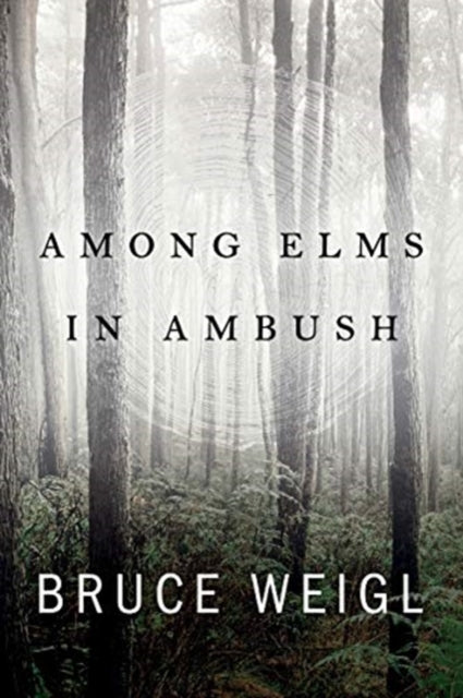 Among Elms, in Ambush