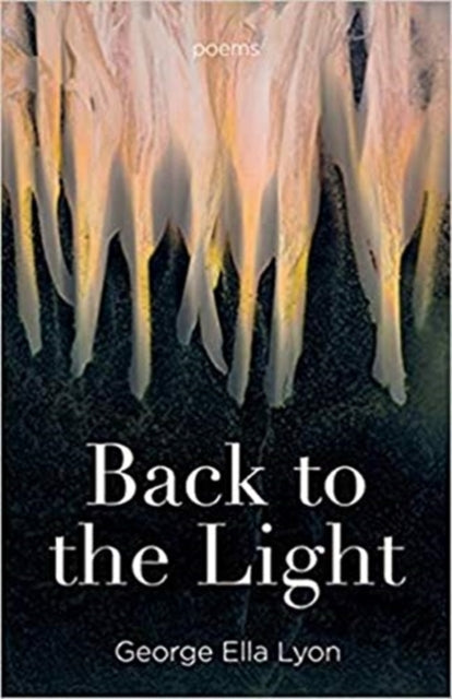 Back to the Light: Poems