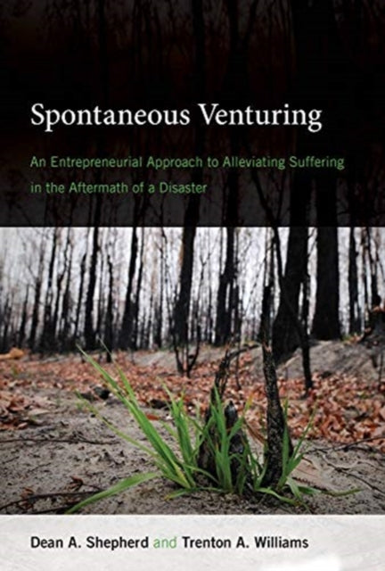 Spontaneous Venturing: An Entrepreneurial Approach to Alleviating Suffering in the Aftermath of a Disaster