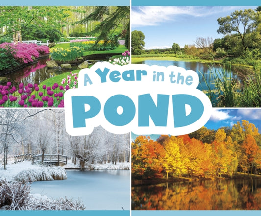 Year in the Pond