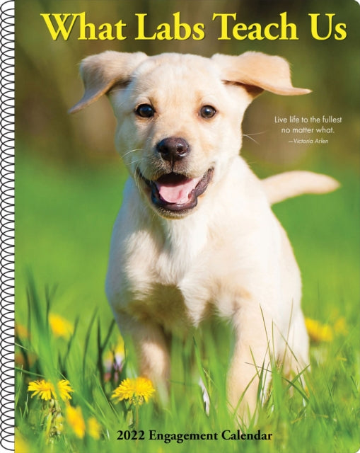 What Labs Teach Us 2022 Engagement Calendar - Dog Breed Spiral Planner