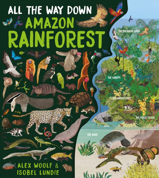 All The Way Down: Amazon Rainforest